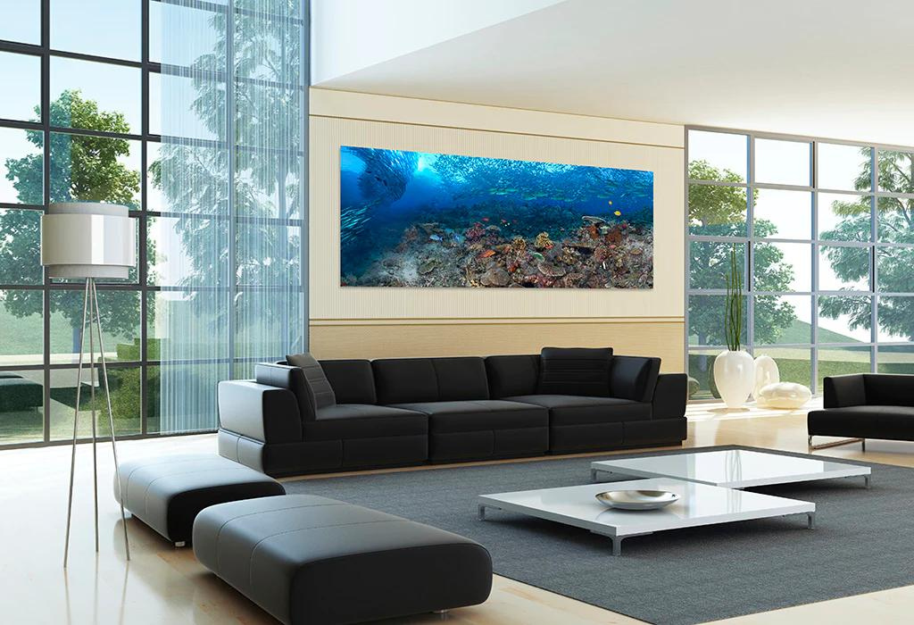 Barracuda Point