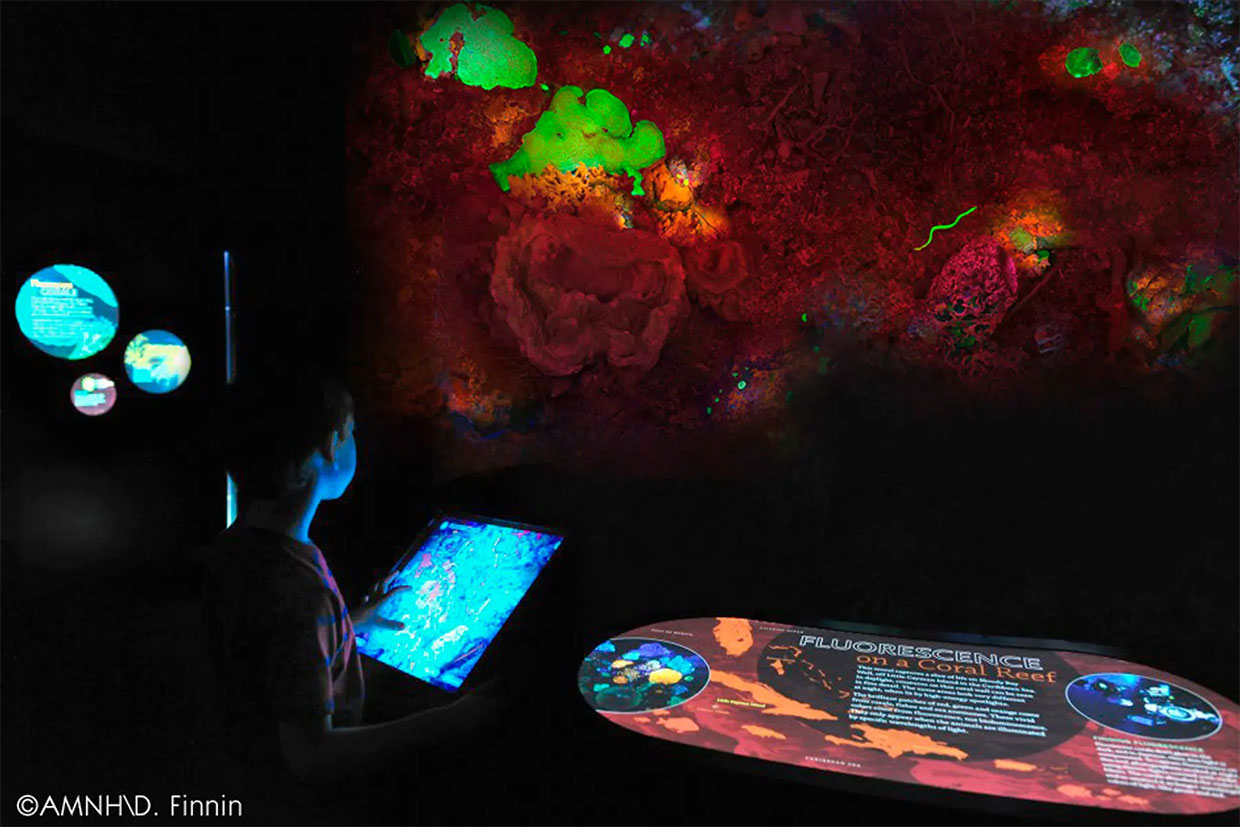 Interactive-Coral-Fluorescence-Display